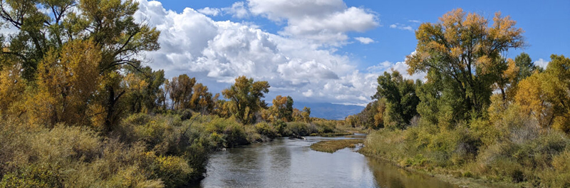 Rio Grande